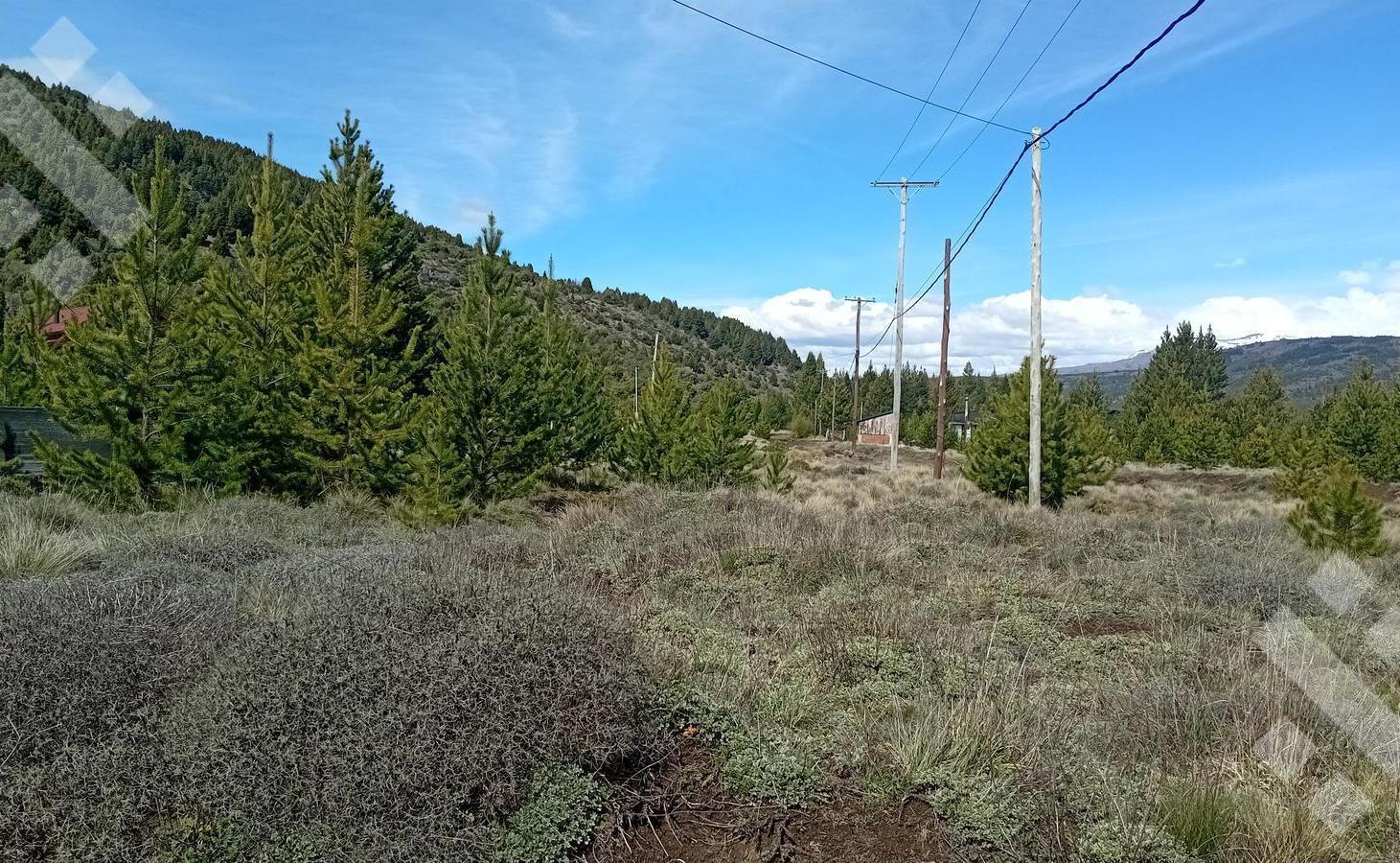 Foto de Venta lote 2400 m2 - Villa Quilquihue - Junin de los Andes, imagen 4