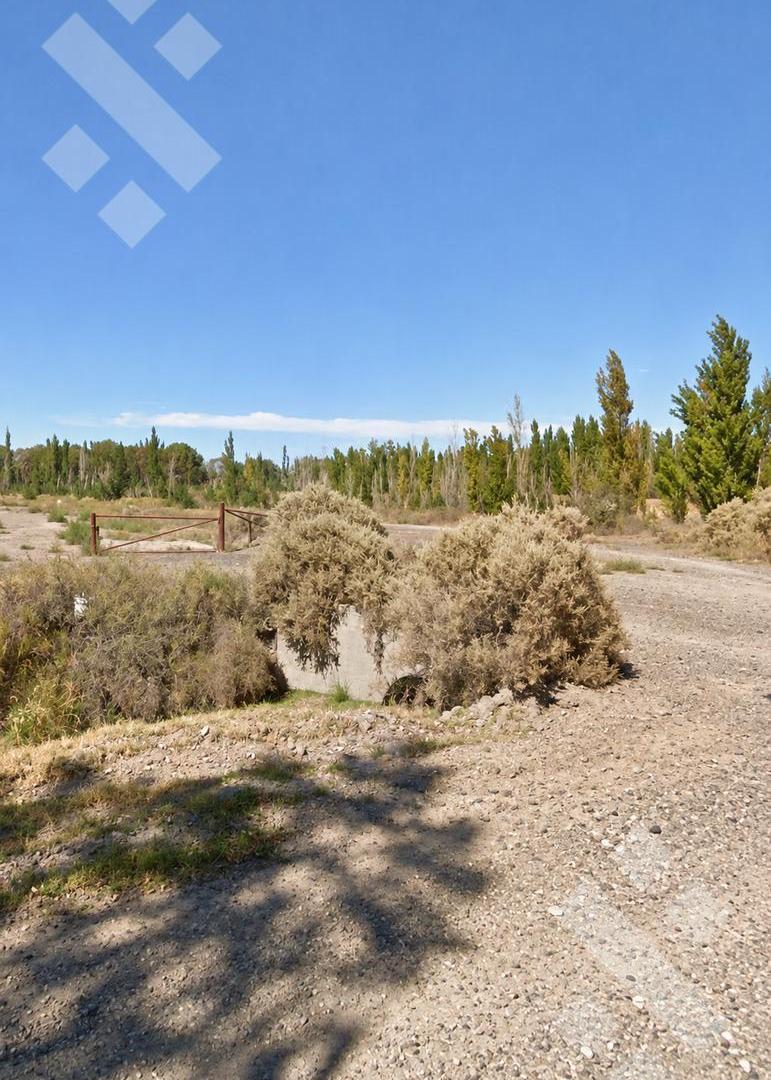 Foto de VENTA 3,34 HECTÁREAS - ZONA RESIDENCIAL R2 - CALLE PELLEGRINI, PLOTTIER, imagen 1