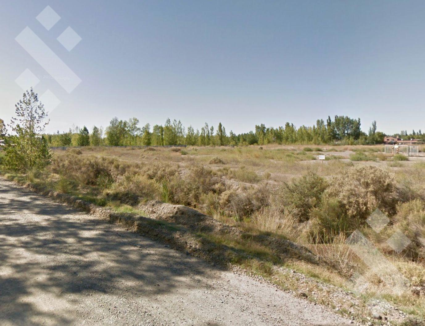 Foto de VENTA 3,34 HECTÁREAS - ZONA RESIDENCIAL R2 - CALLE PELLEGRINI, PLOTTIER, imagen 5