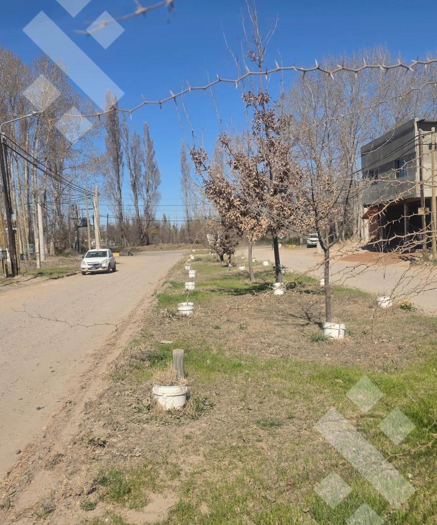Foto de En Venta | Terreno de 360 m2 | Barrio Don Luckas | Plottier, imagen 4