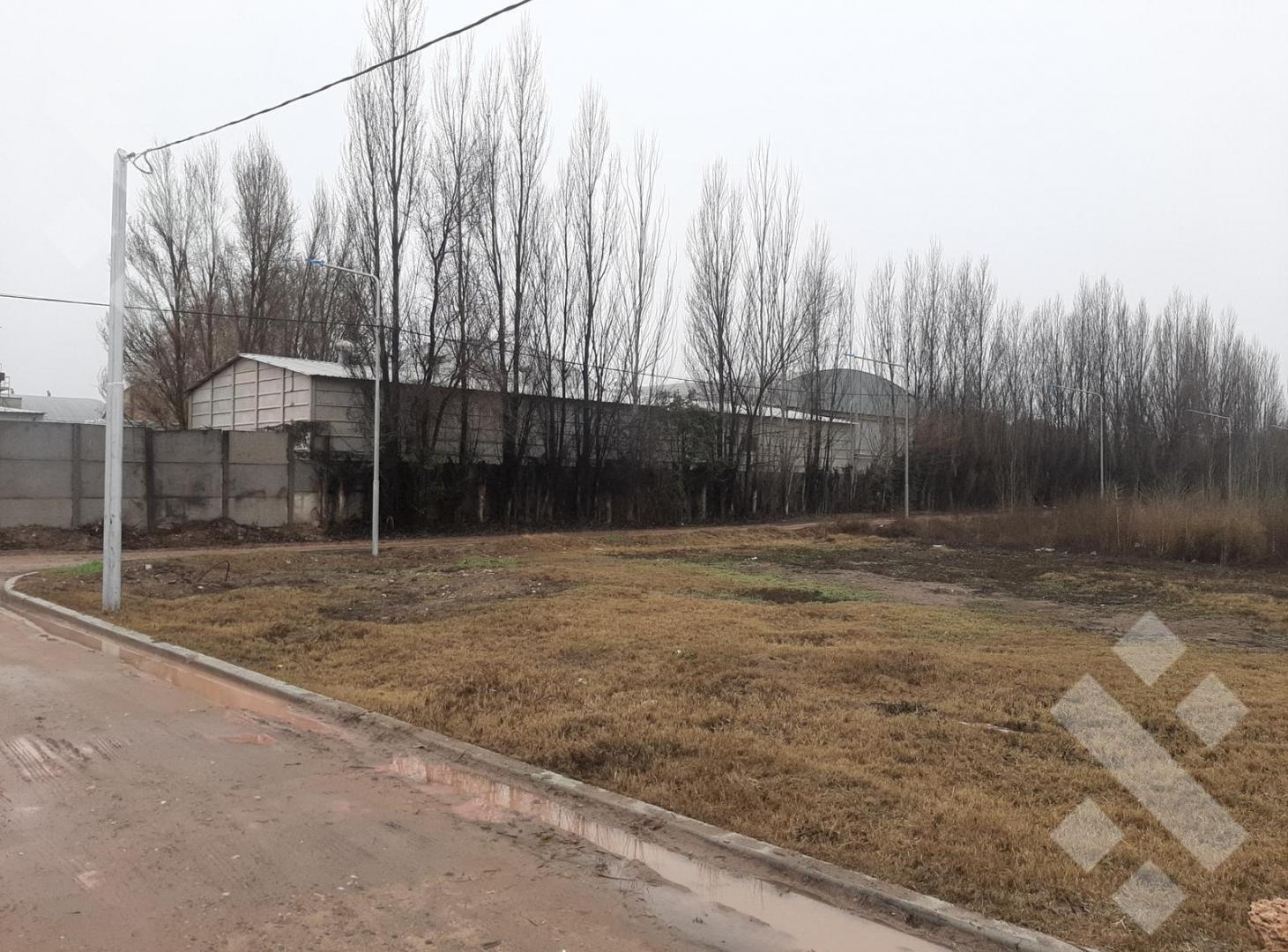 Foto de Venta Terreno Confluencia Rural 350m2, imagen 2