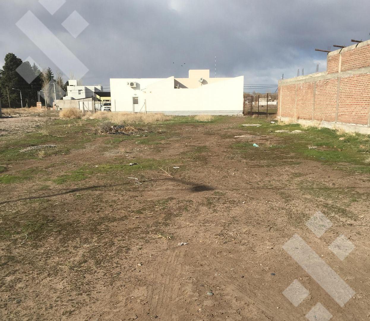 Foto de Terreno en Confluencia, imagen 3