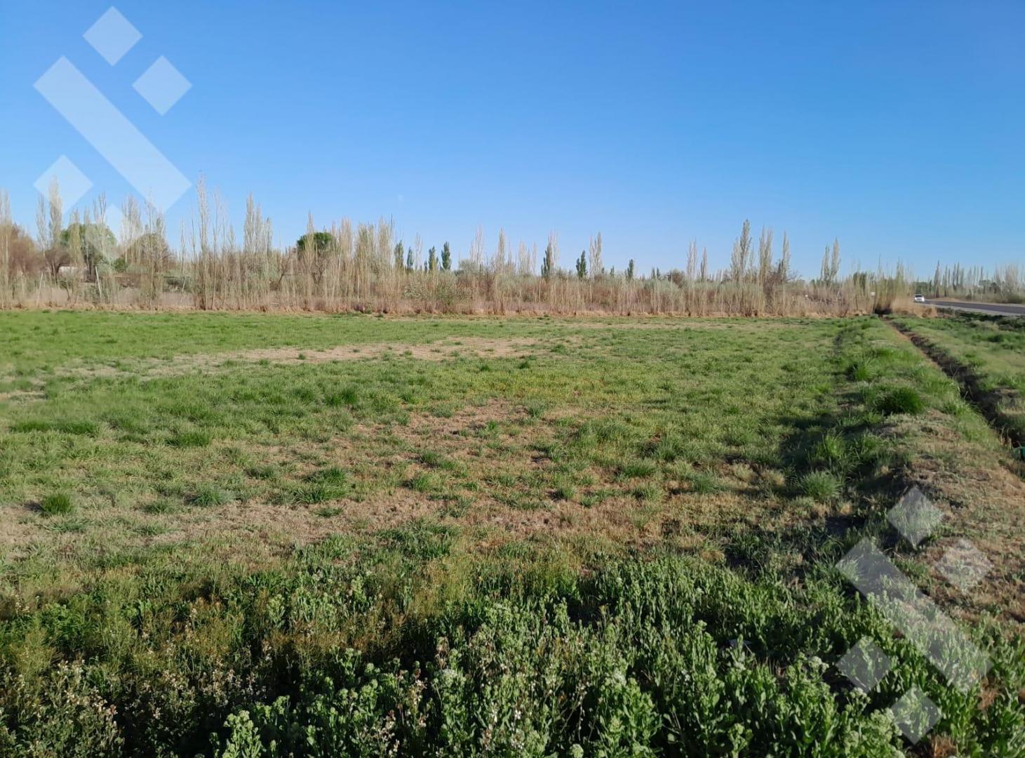 Foto de Terreno de 1.2 Ha con frente de ruta en venta, imagen 4