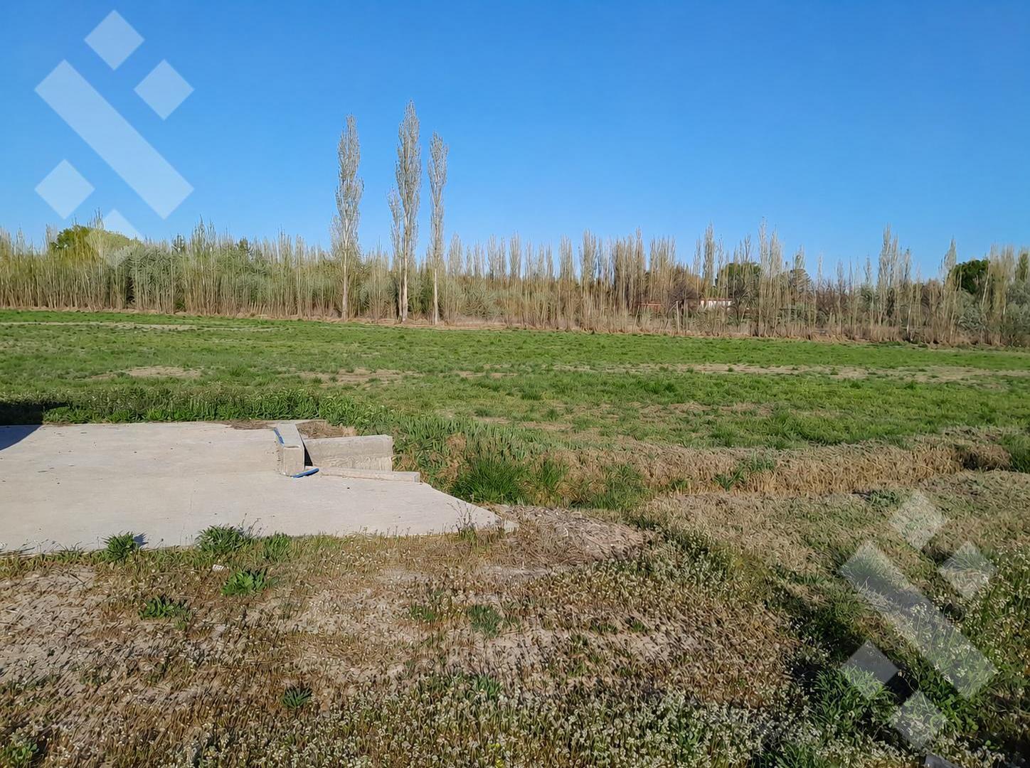 Foto de Terreno de 1.2 Ha con frente de ruta en venta, imagen 1