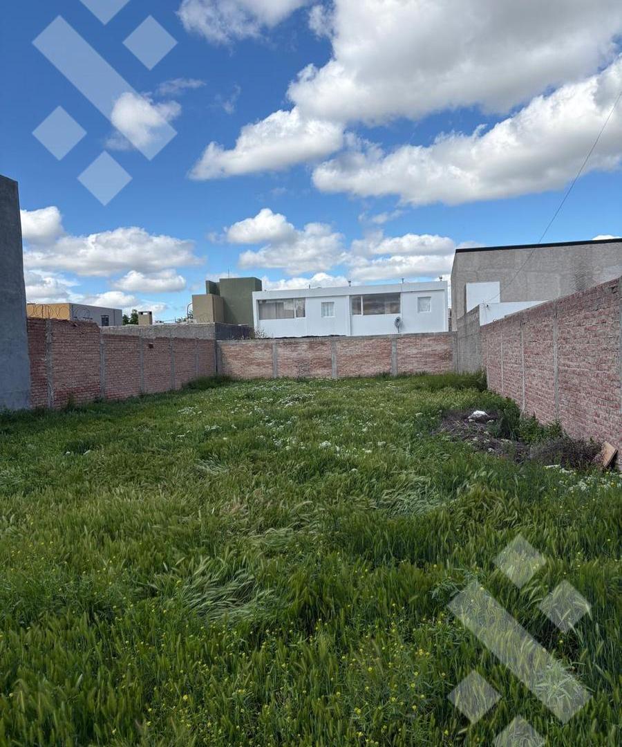 Foto de Terreno en Cipolletti, imagen 2