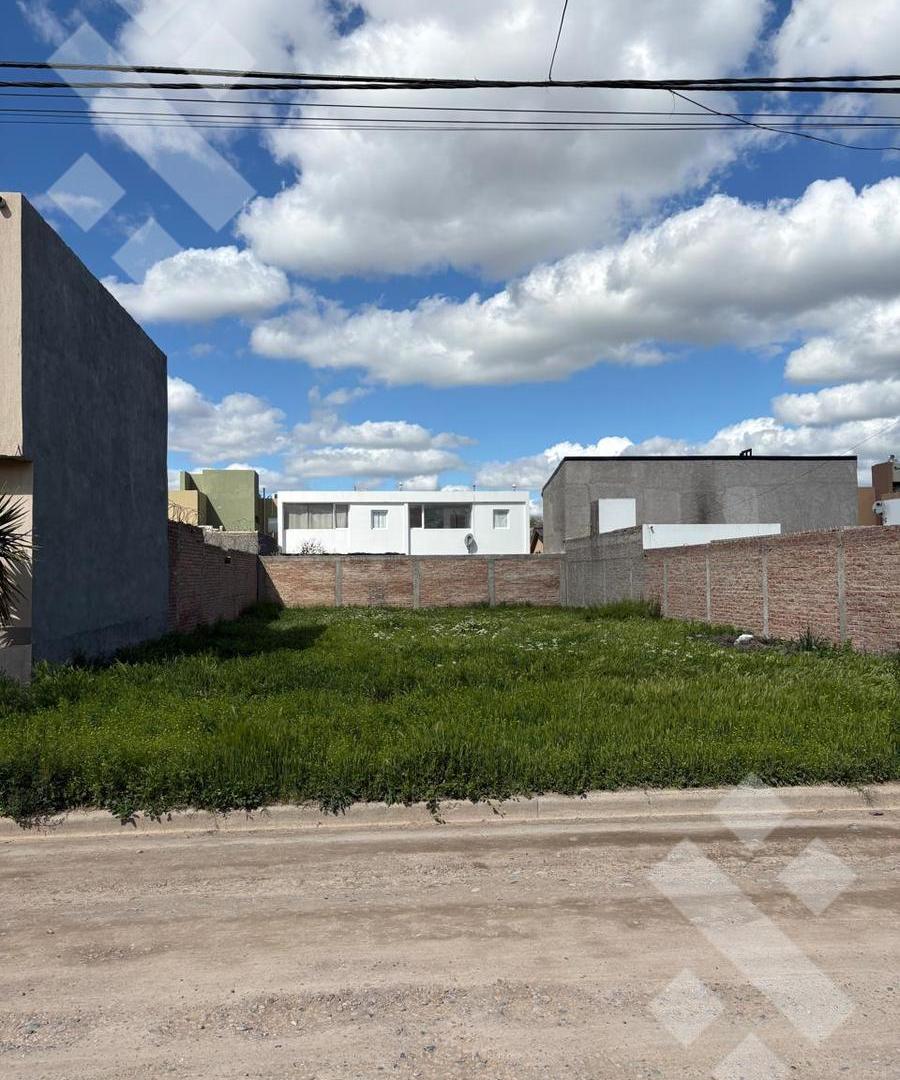 Foto de Terreno en Cipolletti, imagen 5