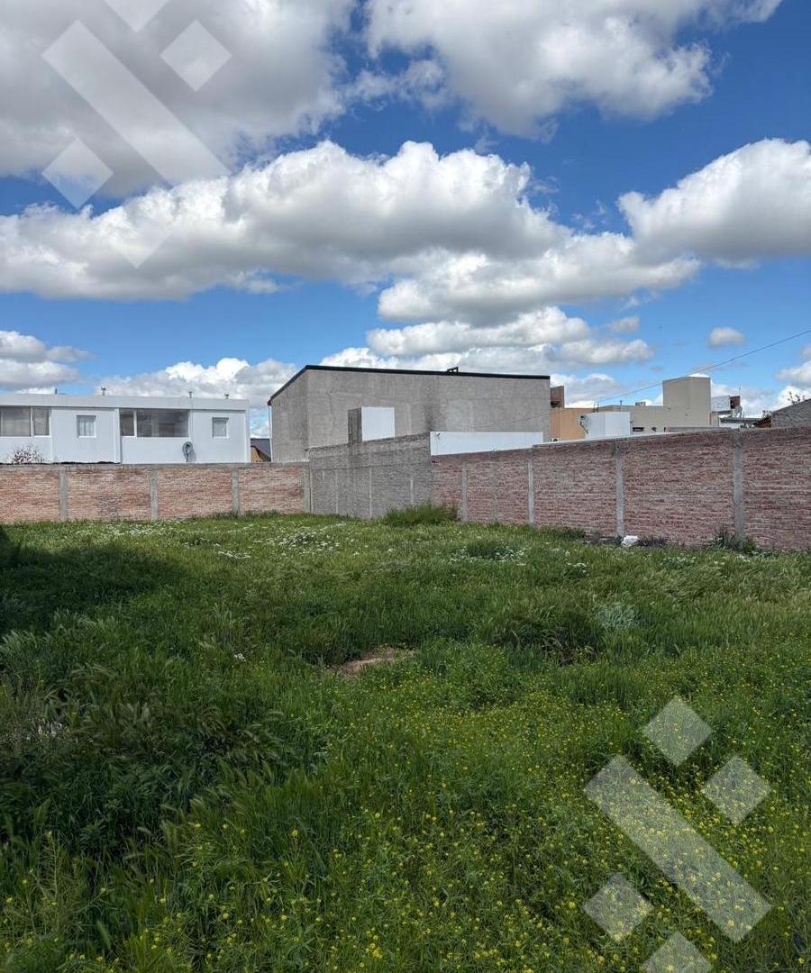 Foto de Terreno en Cipolletti, imagen 3