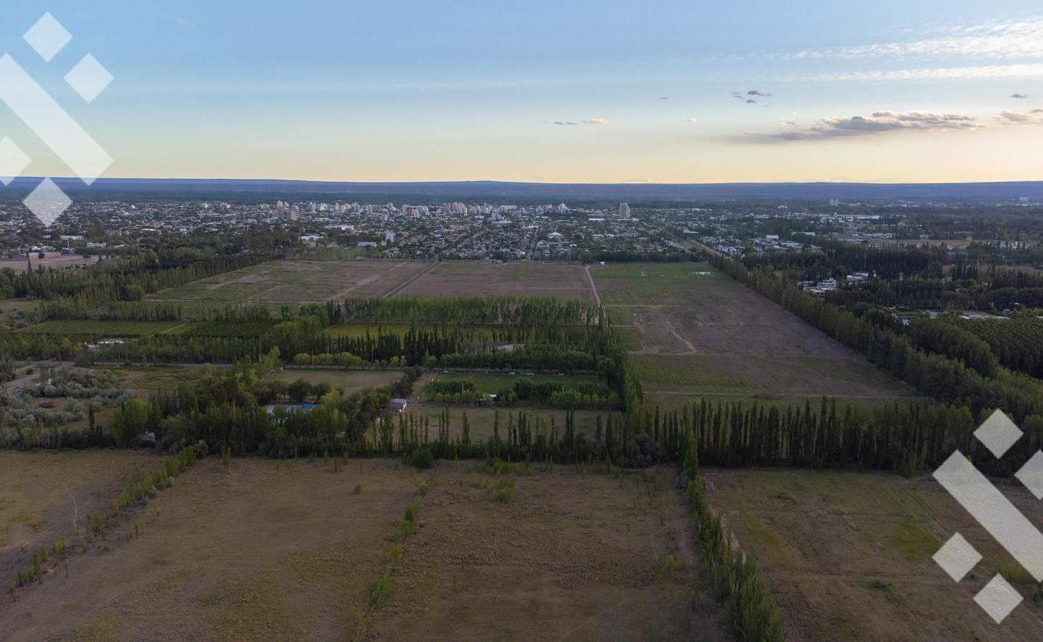 Foto de Terreno en Cipolletti, imagen 4