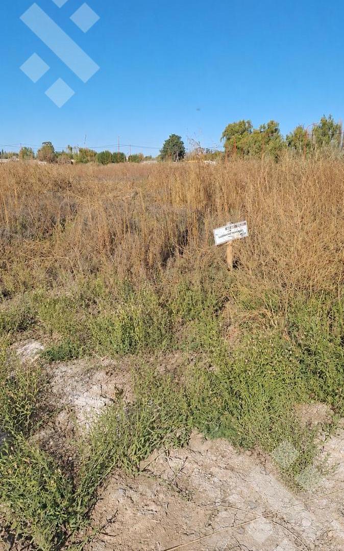 Foto de Terreno en Cinco Saltos, imagen 1