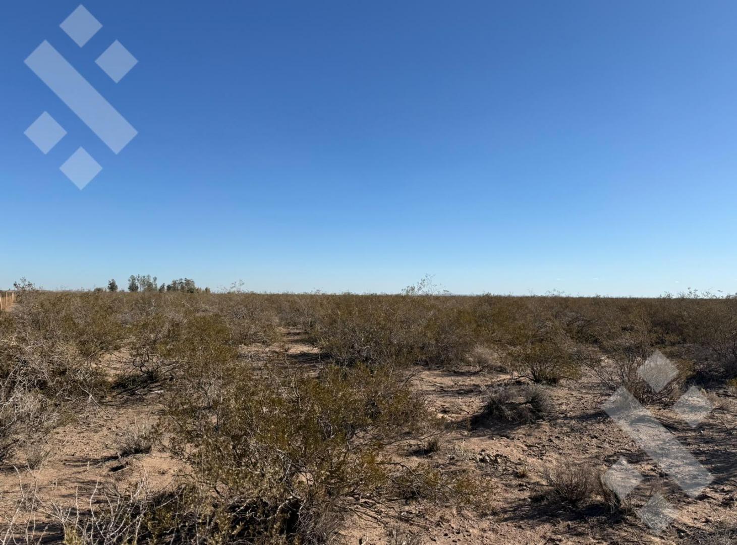 Foto de Venta Terreno 4 H - 4km de la autovia norte - Centenario, imagen 3