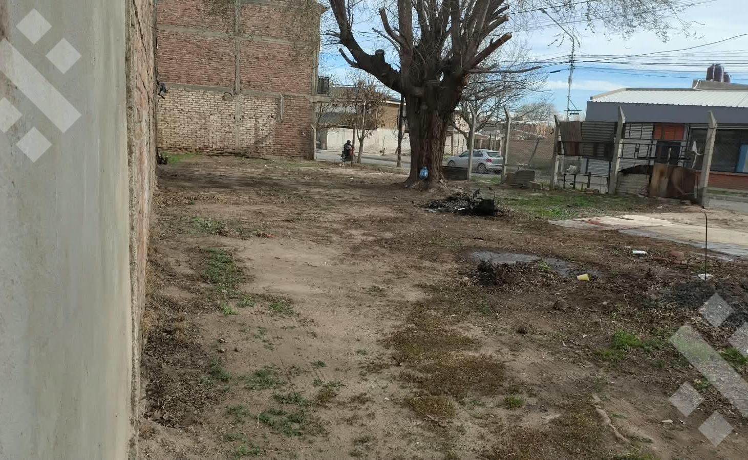 Foto de VENTA TERRENO EN ESQUINA 352 M2 - PLOTTIER, imagen 2