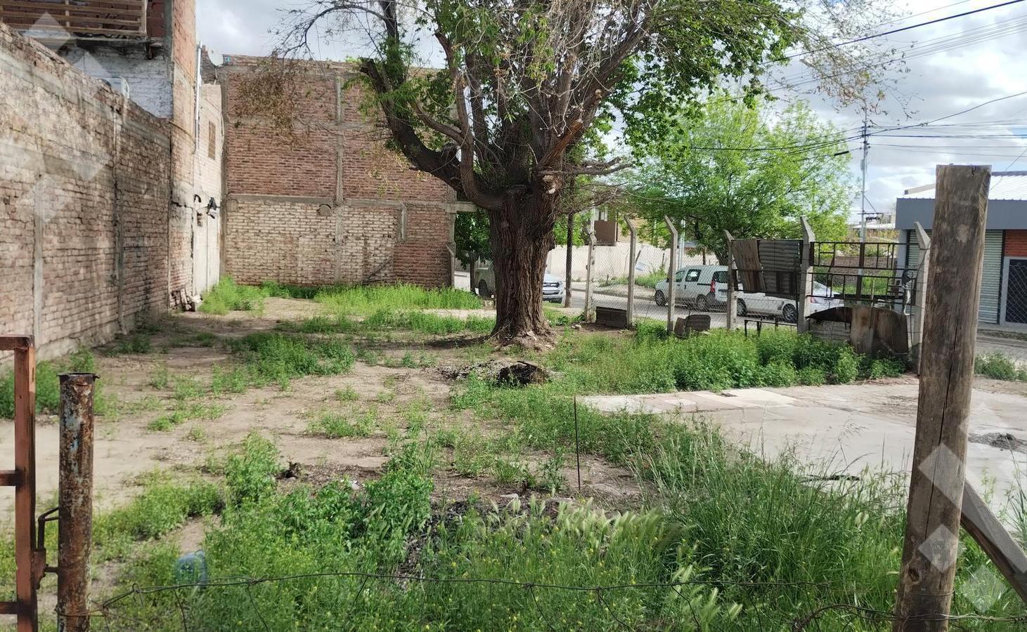 Foto de VENTA TERRENO EN ESQUINA 352 M2 - PLOTTIER, imagen 3