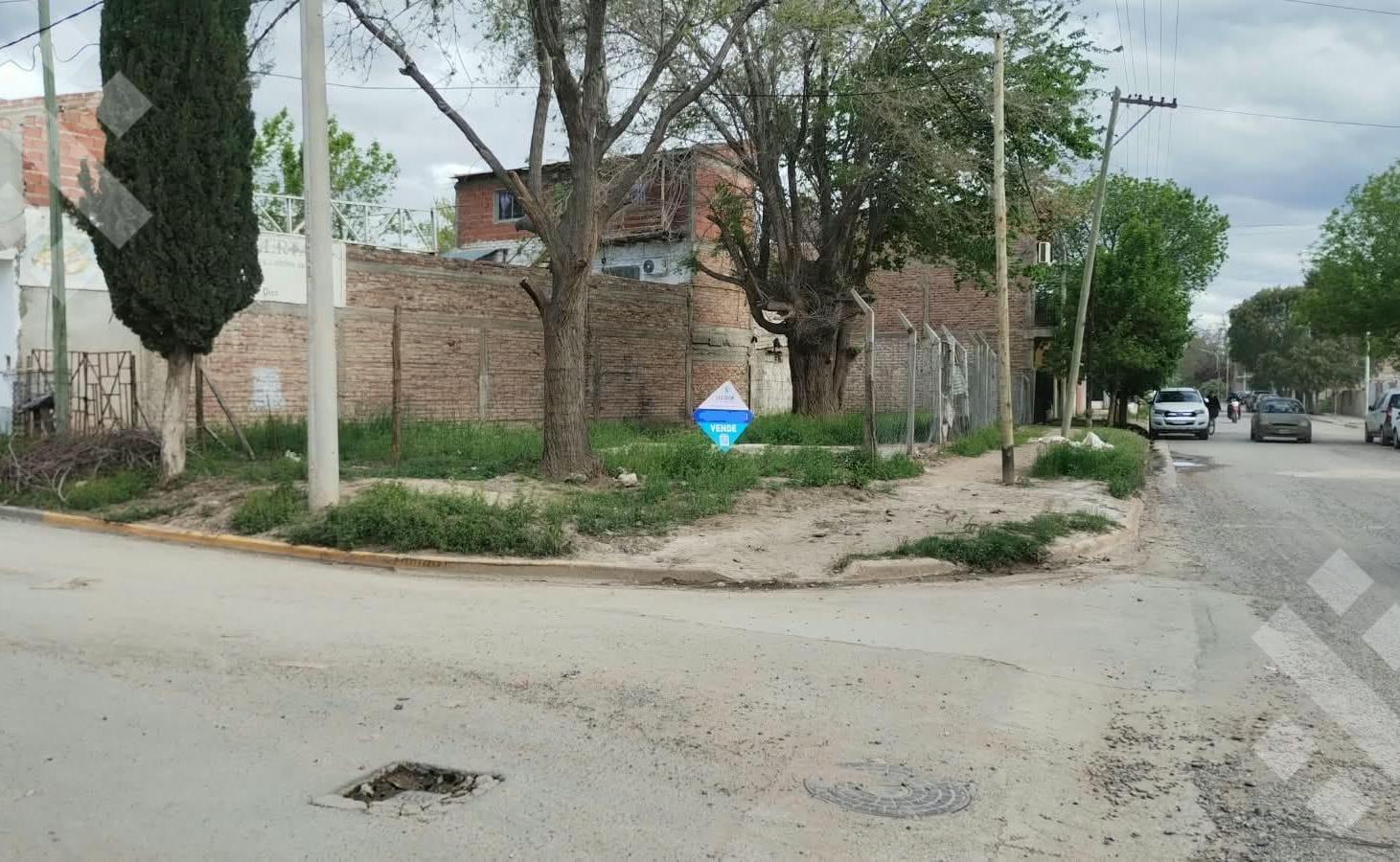 Foto de VENTA TERRENO EN ESQUINA 352 M2 - PLOTTIER, imagen 4