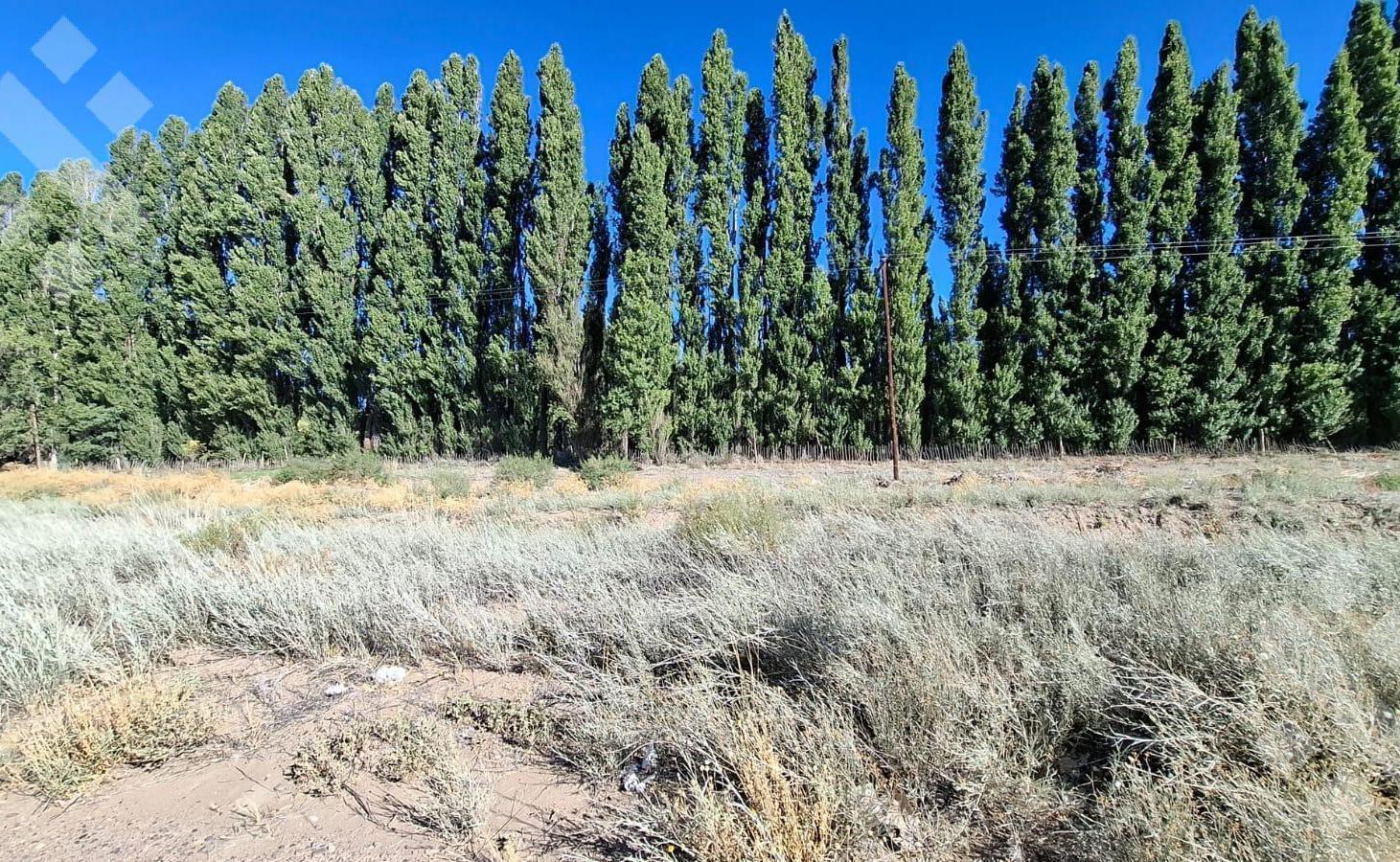 Foto de En Venta | Terreno 450 M2 Fideicomiso Plottier | B° Las Acacias, imagen 3