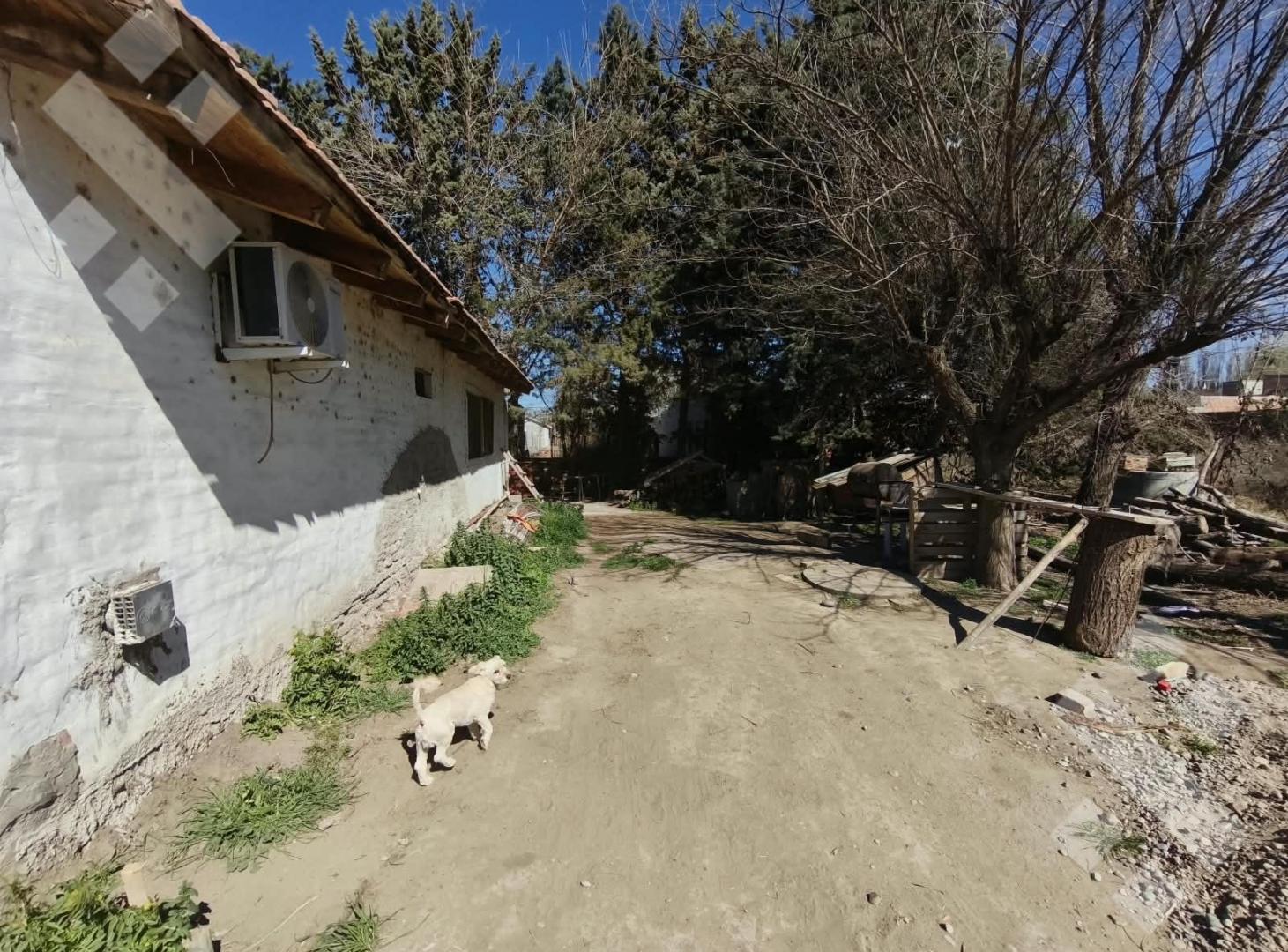 Foto de Venta de 3 lotes contiguos, con casa a reciclar, B° Don José, Nqn, imagen 5