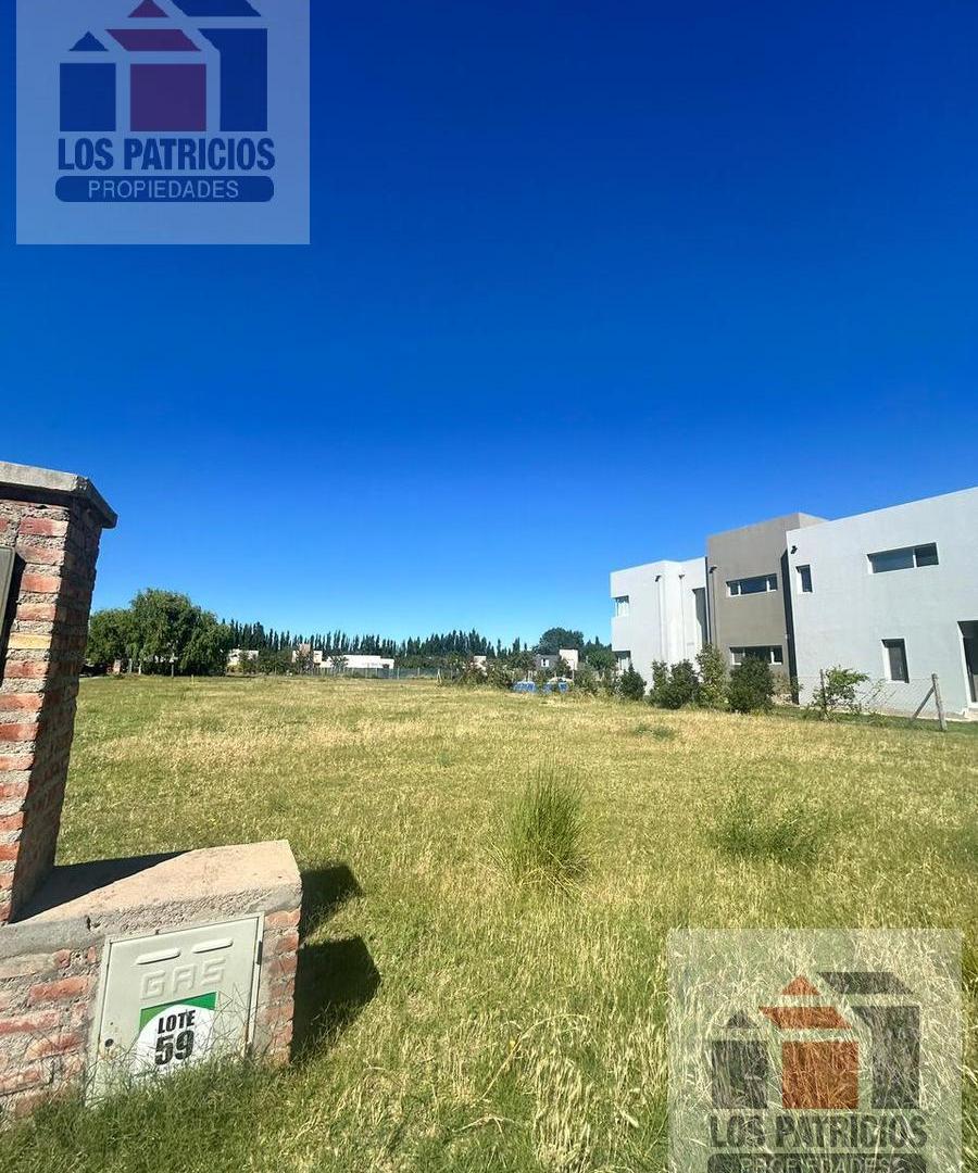 Foto de Terreno en Valentina Norte Urbana, imagen 3