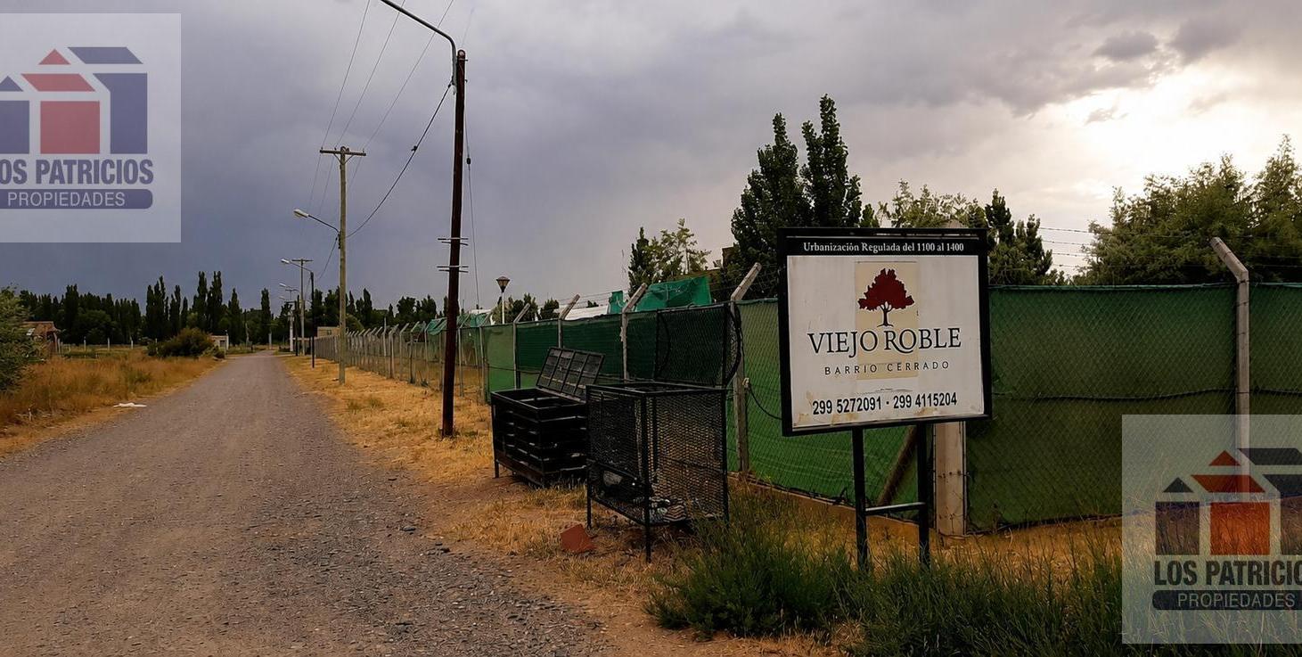 Foto de Terreno en Capital, imagen 4
