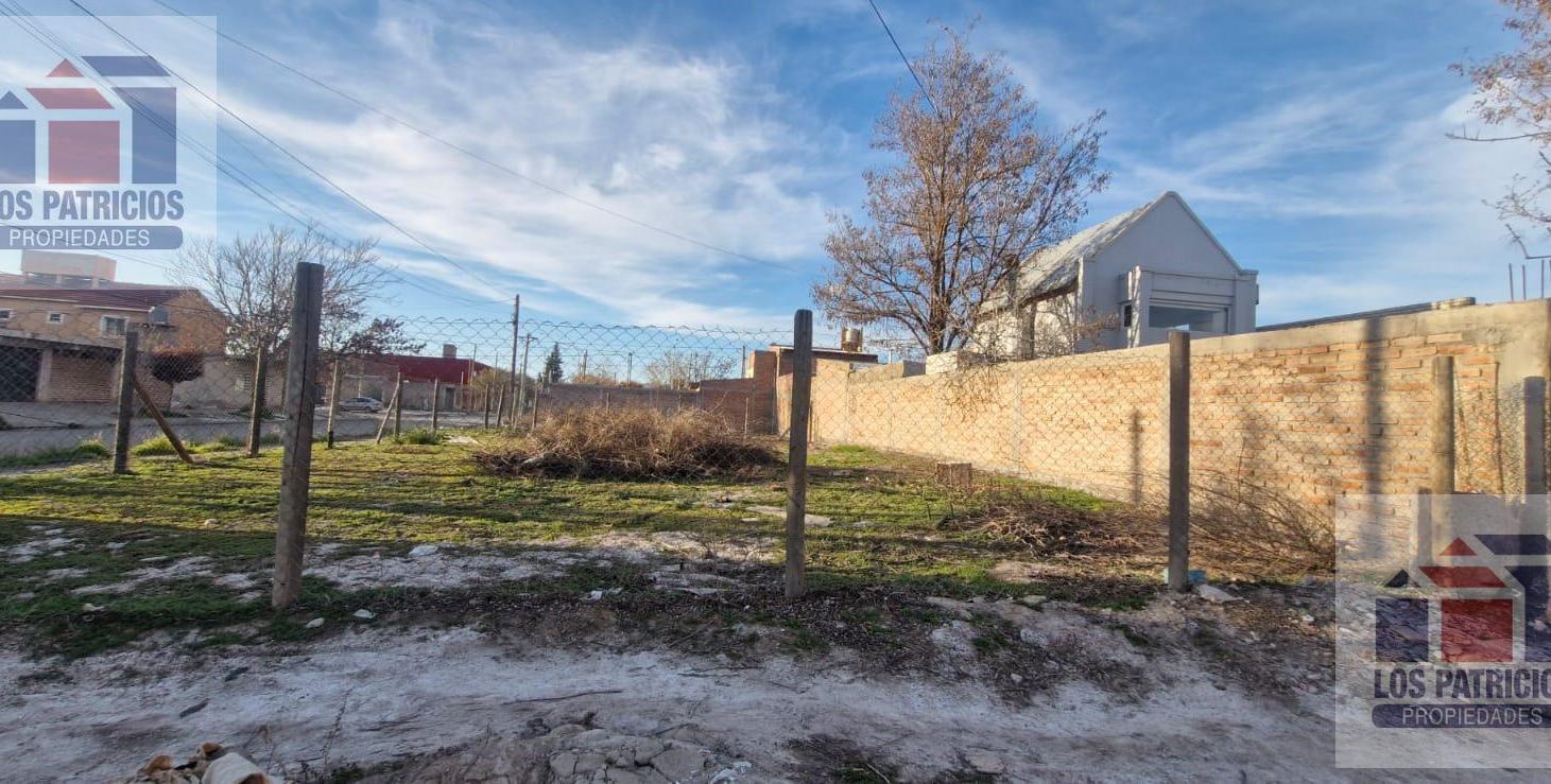 Foto de Terreno en Cipolletti, imagen 4