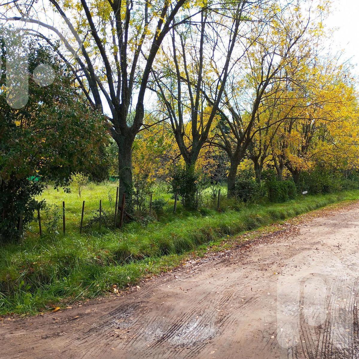 Terreno en Venta 1