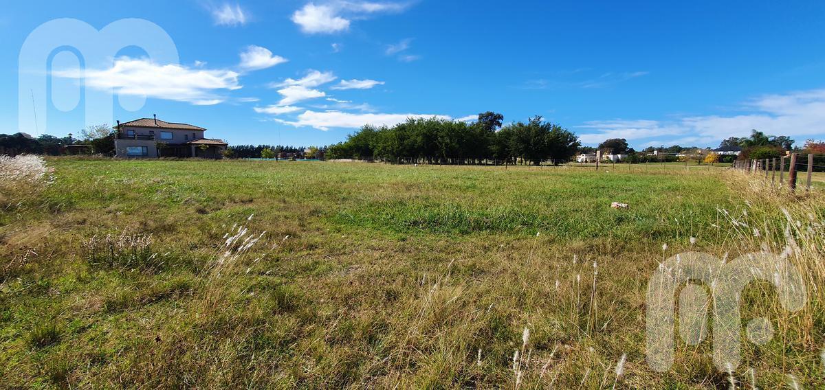 Venta Terreno/lote El Mirador 5