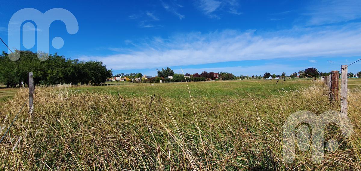 Venta Terreno/lote El Mirador 3