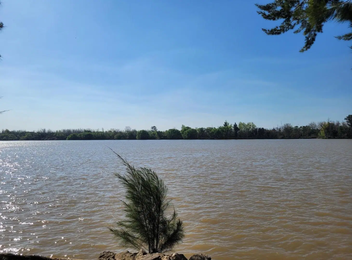 Lote Estratégico para Desarrollo Náutico/Turístico | 3 Hectáreas sobre Río Paraná | Acceso vehicular 5