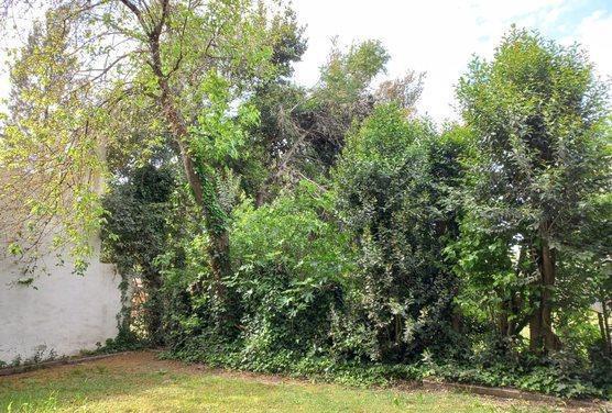 Foto de LOTE DE 1.000 M2 CON CASA DE 3 AMBIENTES Y QUINCHO, ZONA DE QUINTAS A 4, imagen 4
