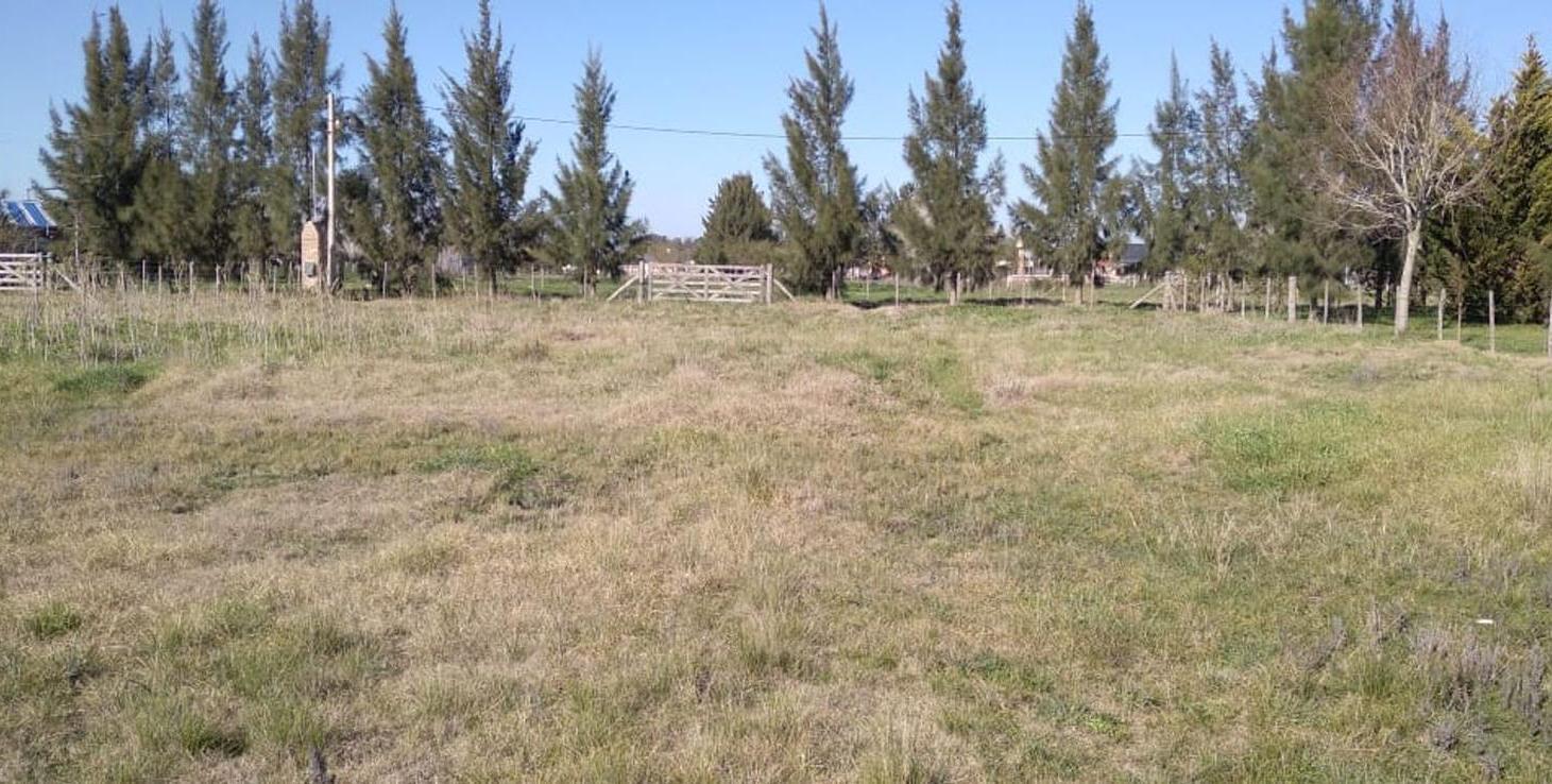 Foto de lote 3.600 m2 Con Escritura. Chascomús, imagen 1