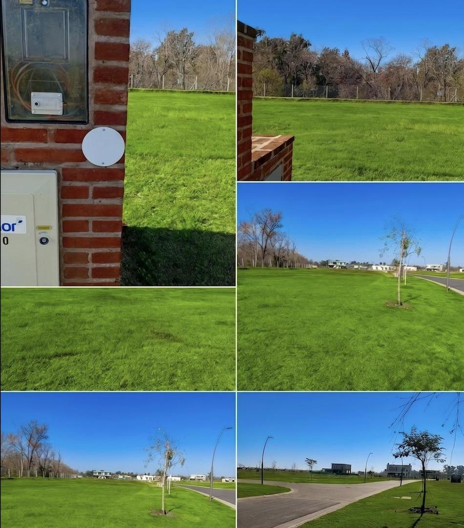 Foto de Terreno en Nativas con vista a la Reserva, imagen 2