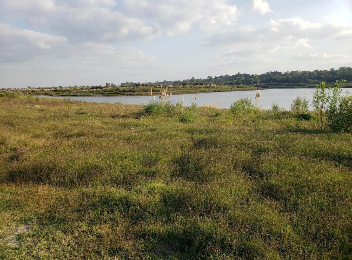 Foto de Terreno al Agua en El Naudir, imagen 4