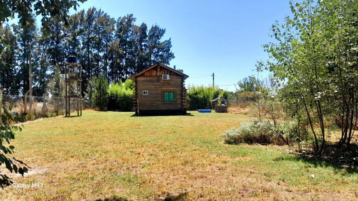 Foto de Casa 3 ambientes en venta en Chascomús, jardín y patio, imagen 4