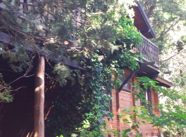 Alquiler temporario Cabaña 3 dormitorios costa de lago Bariloche  Valor T. Baja 3