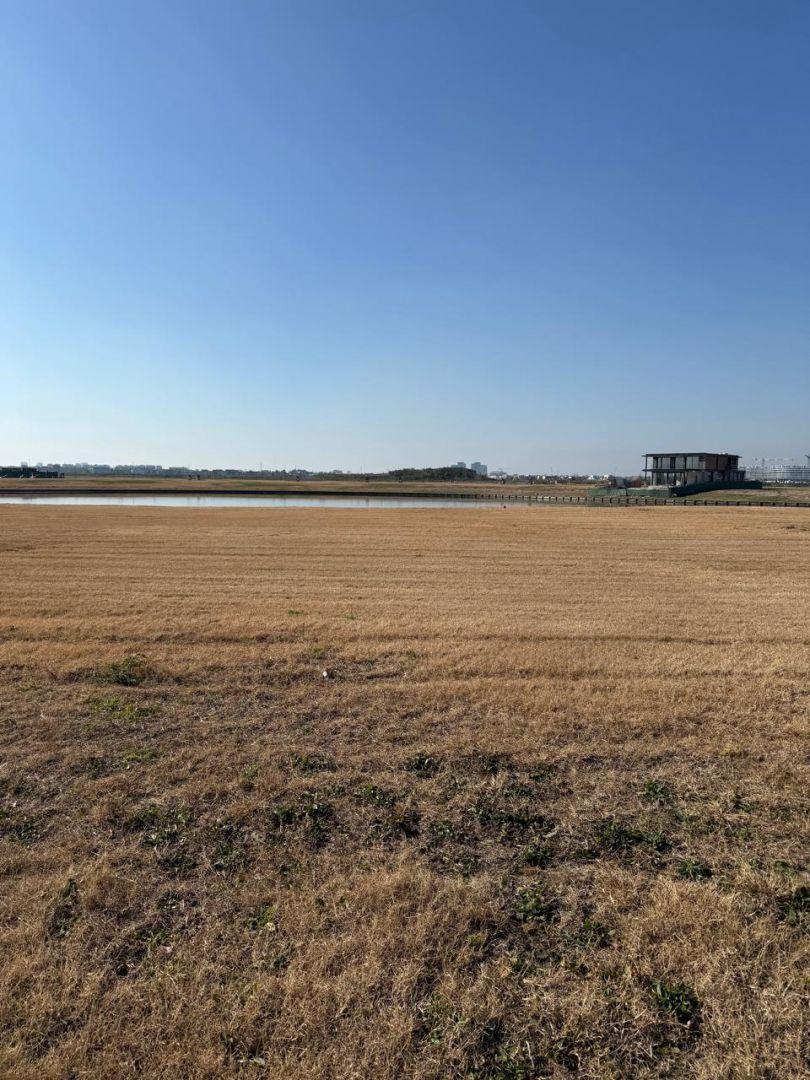 Foto de Espectacular lote en venta en el Barrio Los Puentes, imagen 5