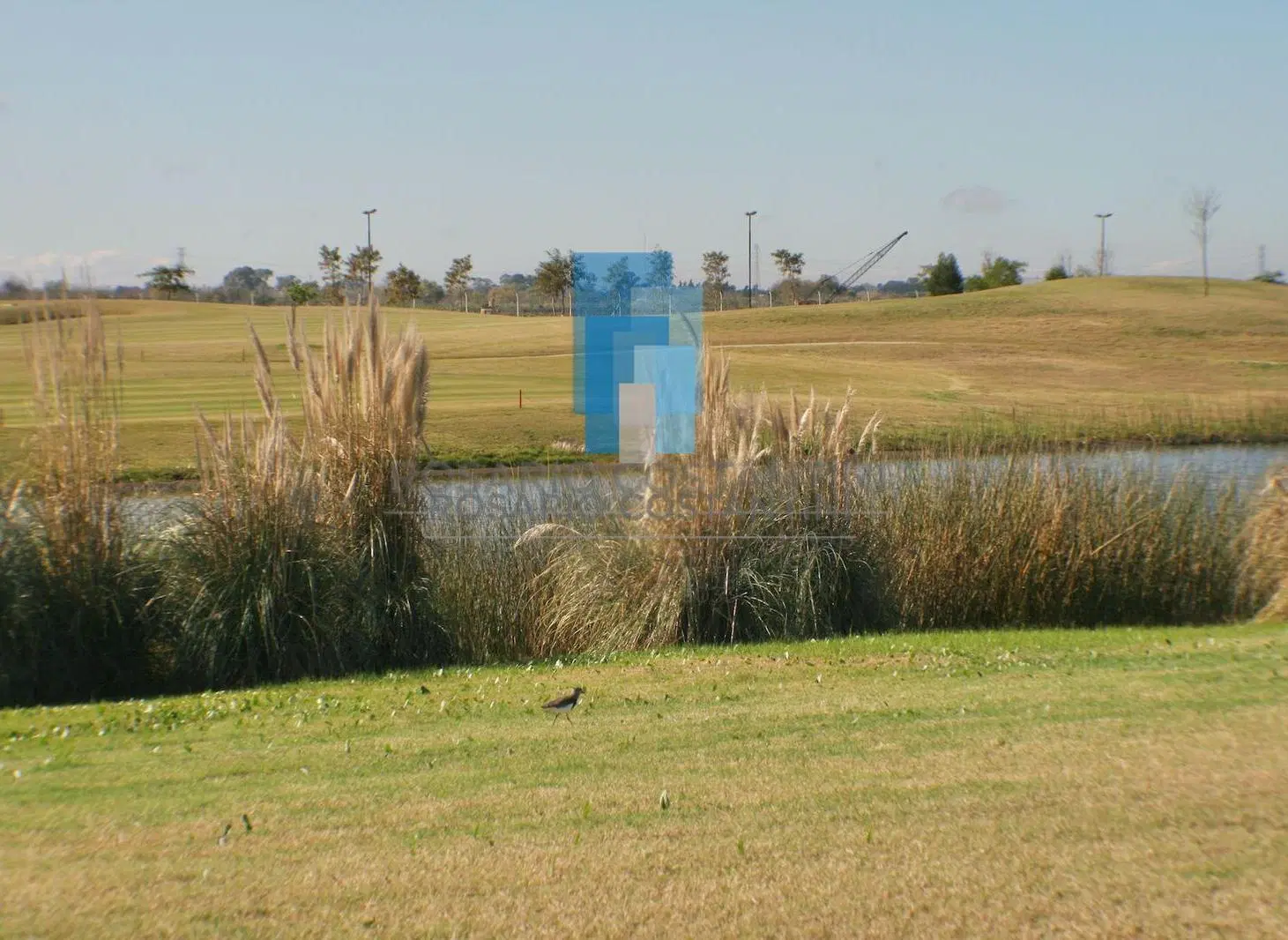 Terreno en El Golf 2