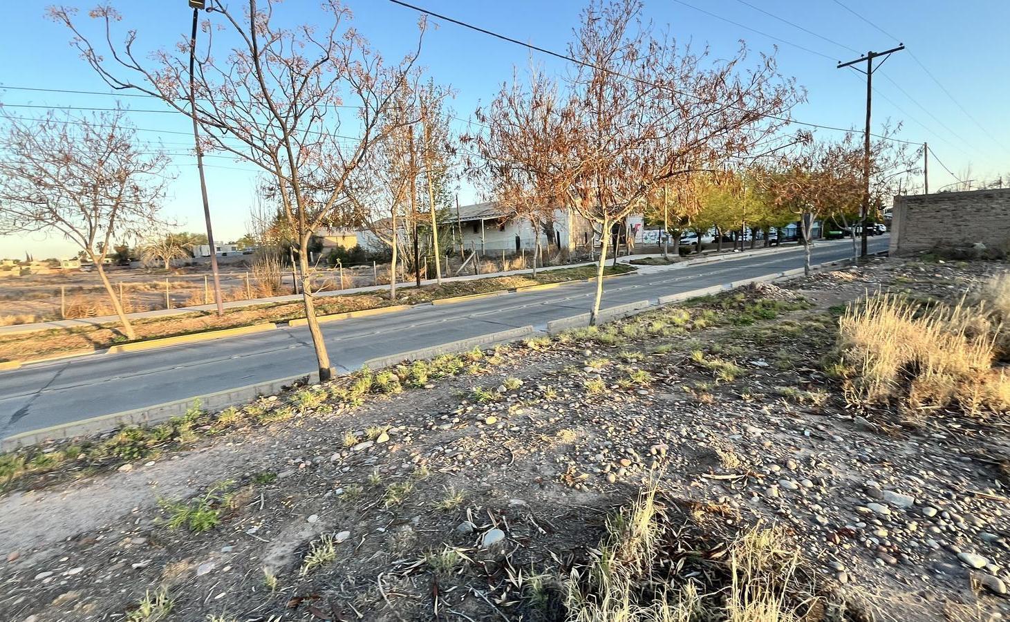 Foto de Terreno en venta . ARTURO GONZALEZ. Pueblo Nuevo . 9500 m2, imagen 4