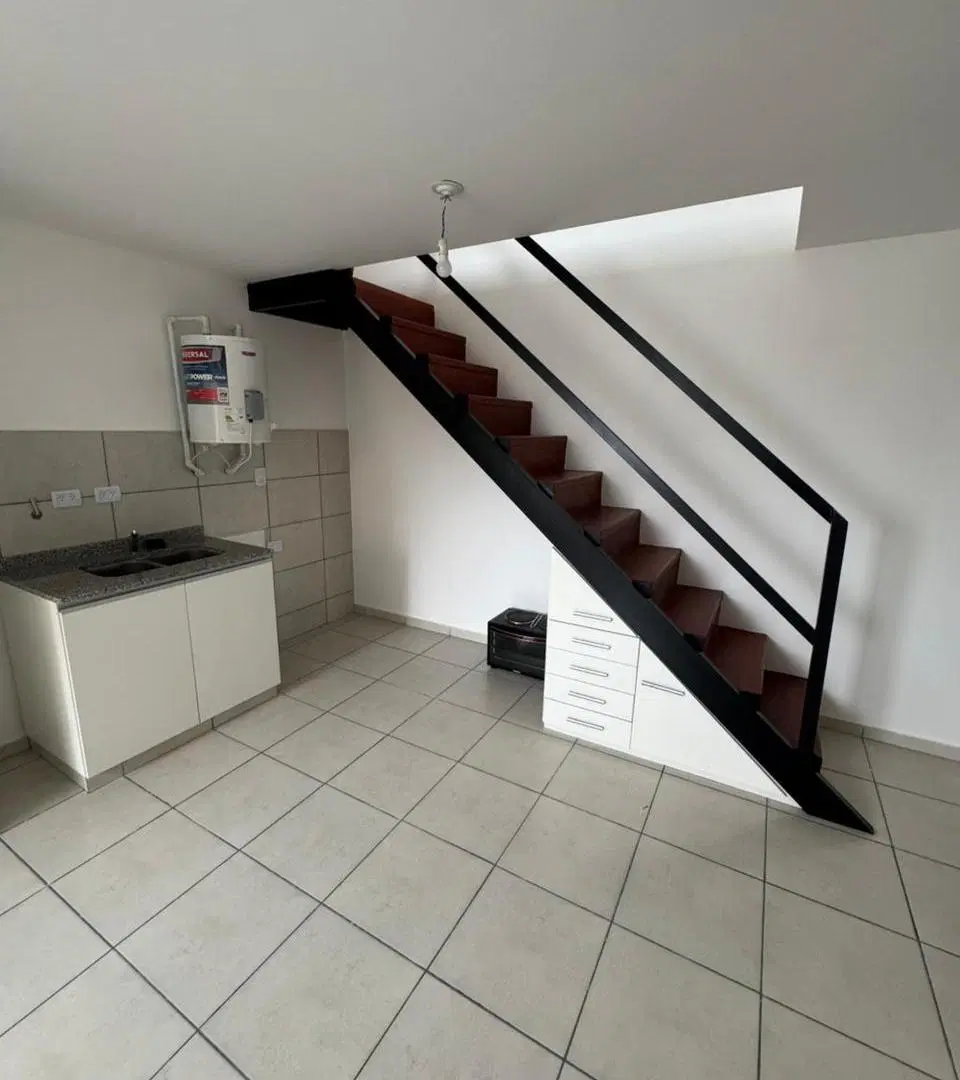 Dúplex. 1 dorm. 1 baño. Terraza con asadores. B Centro. 1