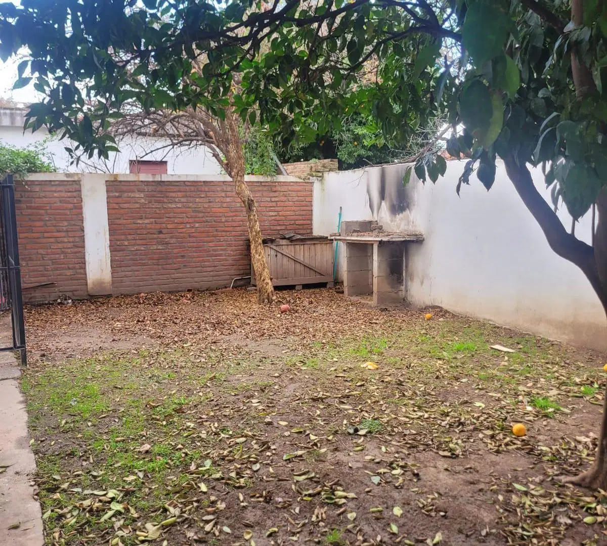 Casa. 2 dorm. 1 baño. Patio con árboles frutales. B Marques de Sobremonte 3