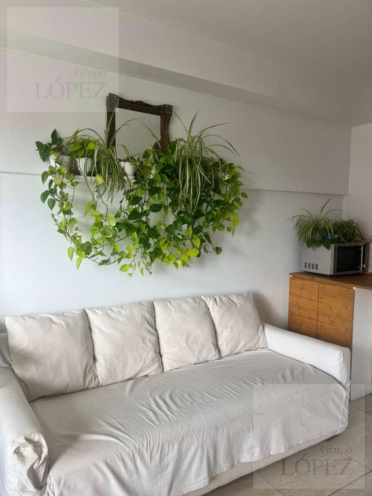 Foto de Alquiler Departamento 1 ambiente amplio en Villa Urquiza - Temporal y, imagen 3