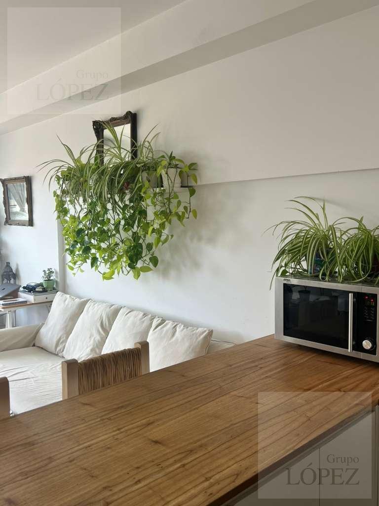 Foto de Alquiler Departamento 1 ambiente amplio en Villa Urquiza - Temporal y, imagen 4