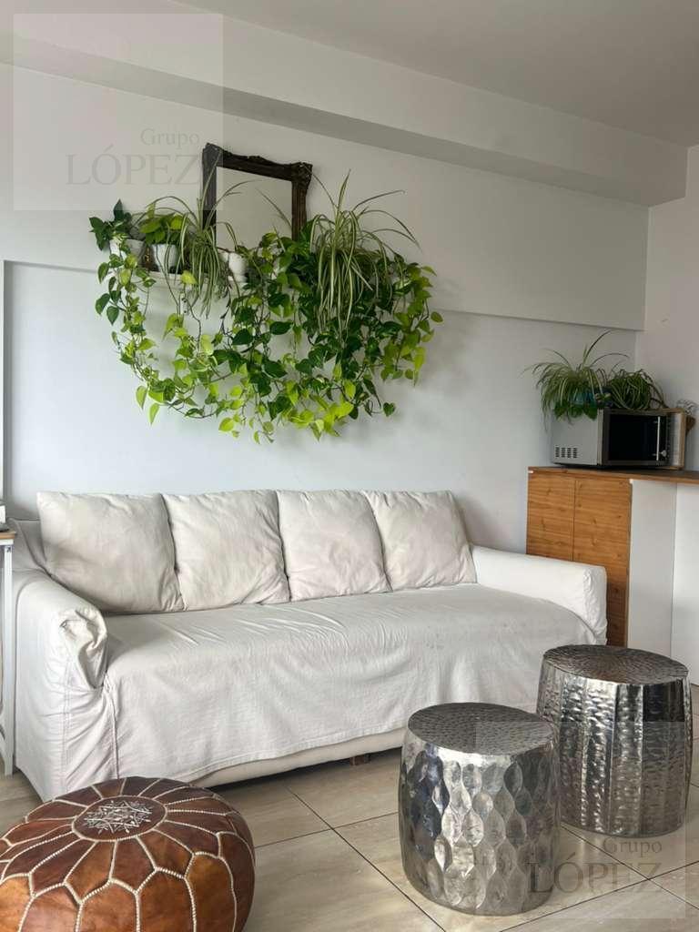 Foto de Alquiler Departamento 1 ambiente amplio en Villa Urquiza - Temporal y, imagen 5