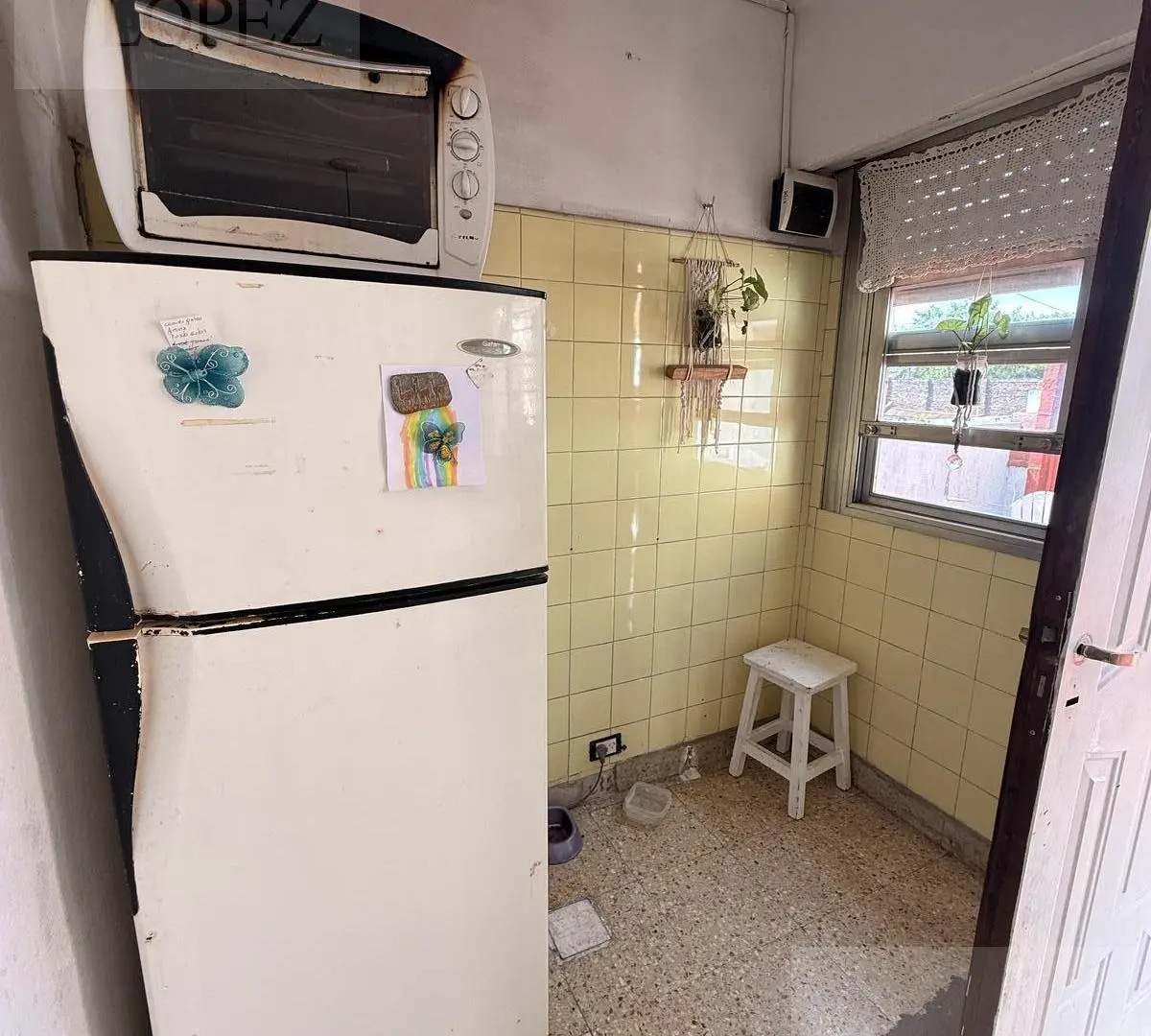 PH Planta Alta 5