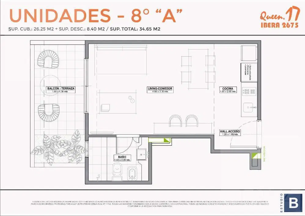 Plano 8