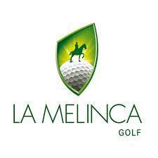 Foto de Terreno en venta en La Melinca, 2084 metros, central, fondo golf, imagen 2