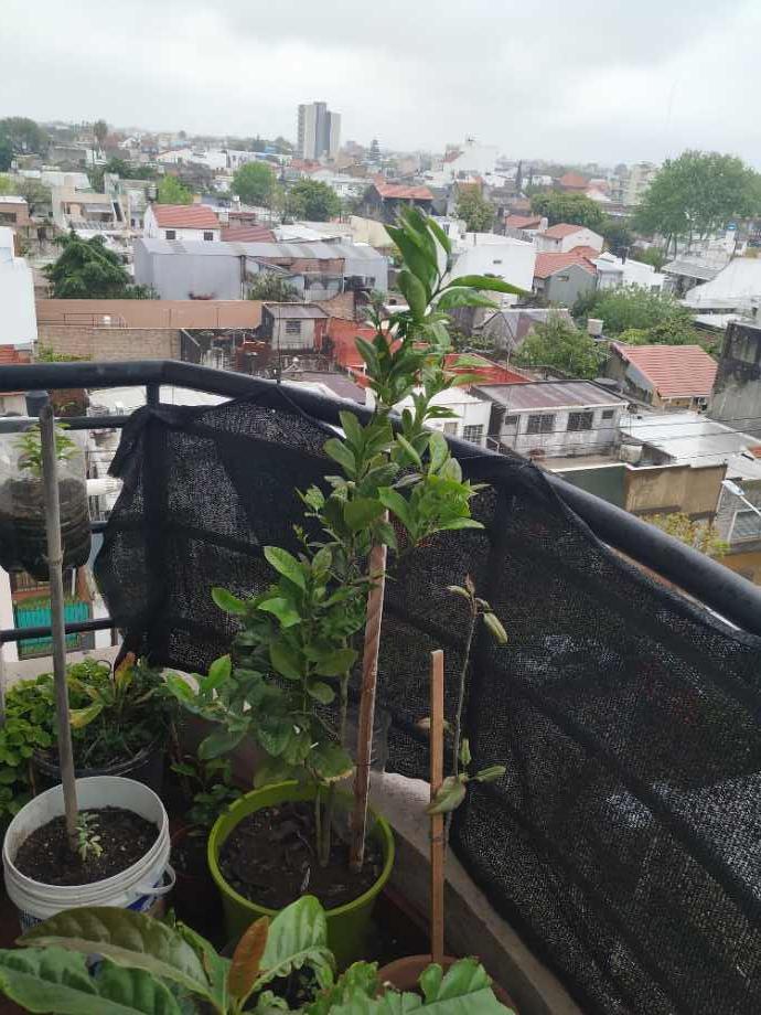 Semipiso 2 Amb. con 2 Balcones y Cochera Cubierta en Lanus Oeste 5