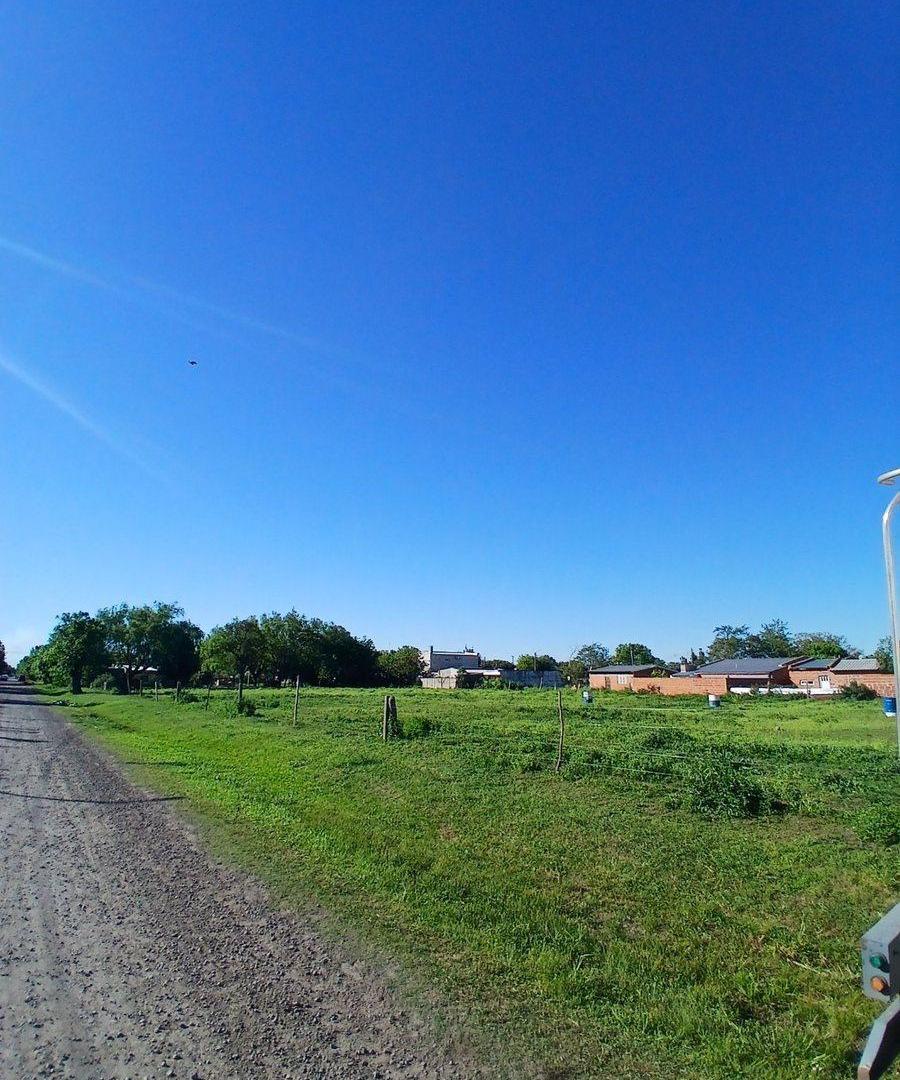 Terreno de 5961 M² con casa a reciclar.