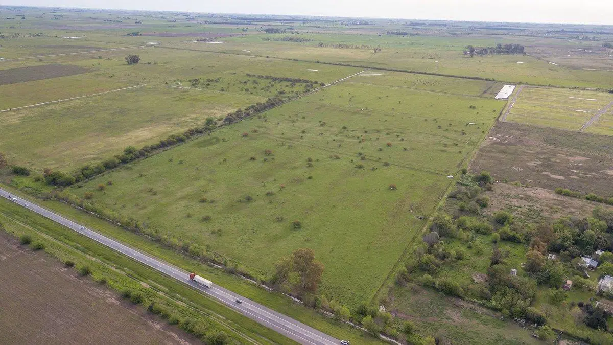 CAMPO 32 HECTAREAS EN VENTA - PIÑERO 4