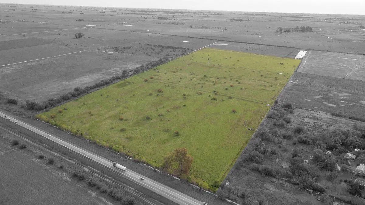 CAMPO 32 HECTAREAS EN VENTA - PIÑERO 3