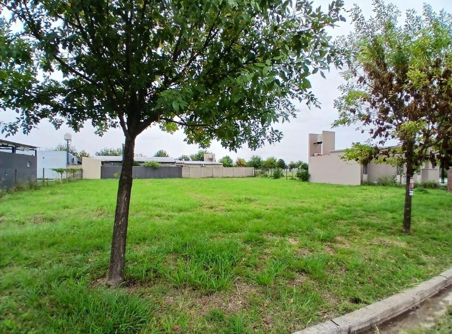 Gran lote a la venta en Andino