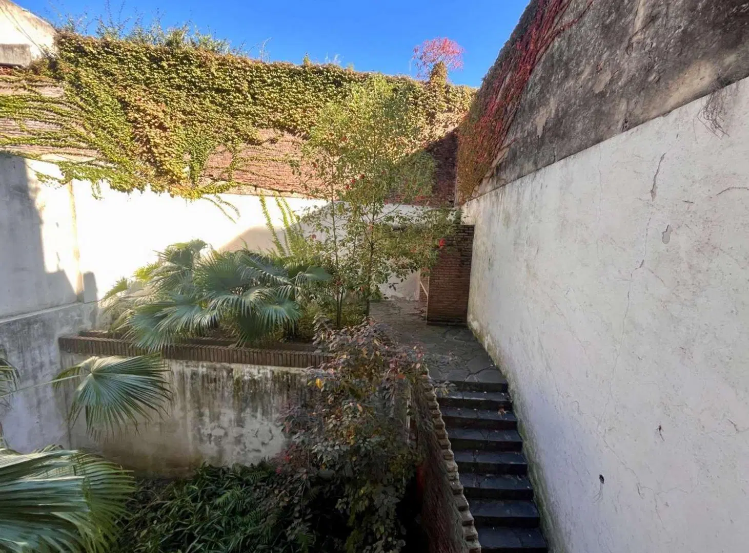 Consultorio en venta con recepción y SUM 4