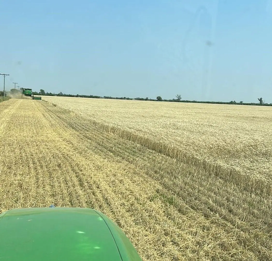 VENTA DE CAMPO EN SAGUIER SUELO 1 3